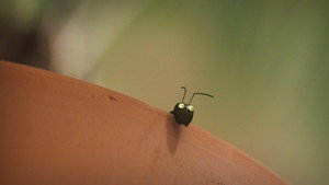 На полной скорости