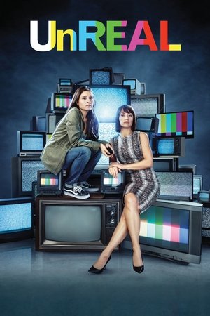 Нереальный холостяк (2015)
