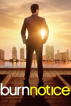 Чёрная метка (2007)
