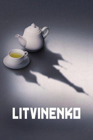Литвиненко (2022)