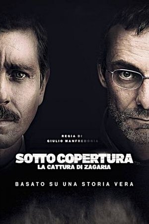 Под прикрытием (2015)