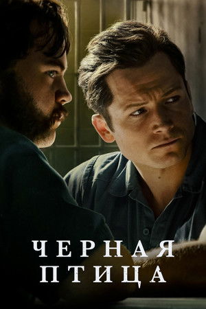 Чёрная птица (2022)