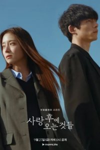 Что приходит после любви (2024)