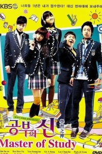 Мастер обучения (2010)