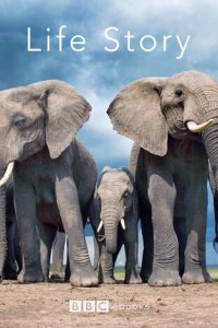 История жизни (2014)