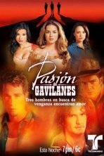 Тайная страсть (2003)