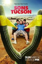 Сынки Тусона (2010)