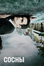 Сосны (2015)
