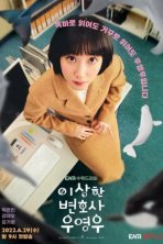 Необычный адвокат (2022)