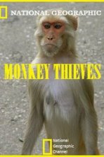 Обезьяны-воришки (2008)