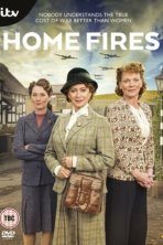 Домашние очаги (2015)