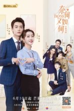 Что, если вы мой босс? (2020)