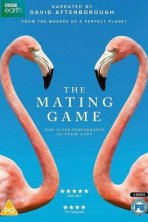 Брачная Игра (2021)