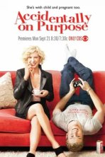Преднамеренная случайность (2009)