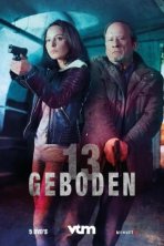 13 заповедей (2017)