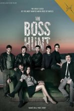 Под прикрытием (2015)