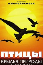 Птицы: Крылья природы (2002)