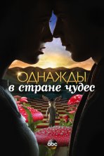 Однажды в стране чудес (2013)