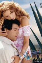 Очищенная любовь (2007)