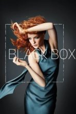 Чёрный ящик (2014)