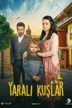 Раненые птицы (2019)