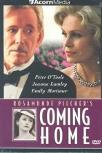 Возвращение домой (1998)