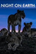 Ночь на Земле (2020)