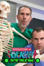 Операция «Ой!» (2012)