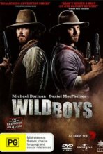 Отчаянные парни (2011)