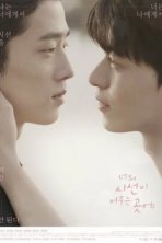 Там, где замрёт твой взгляд (2020)