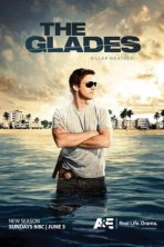 Пляжный коп (2010)