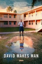 Дэвид становится мужчиной (2019)
