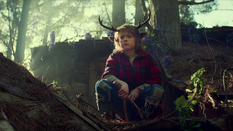 Из чащи леса