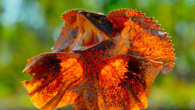 Глушь Австралии