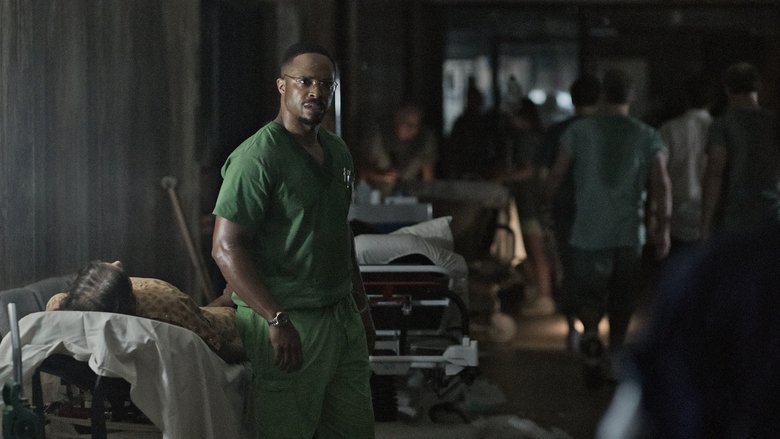 День четвертый