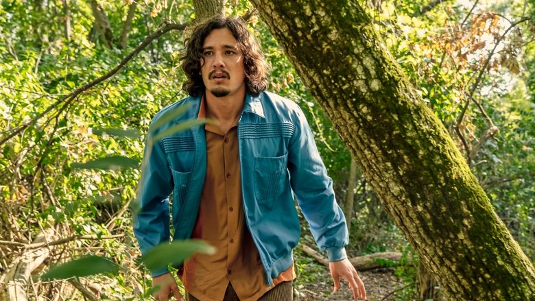 Компенсация