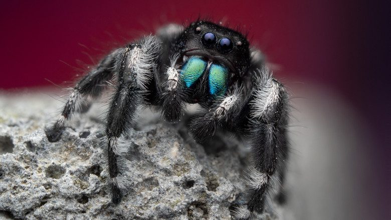 Большой город