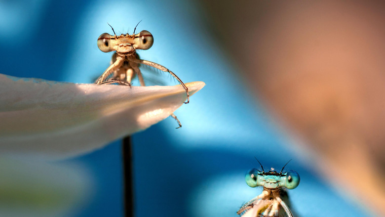 Бывший пруд