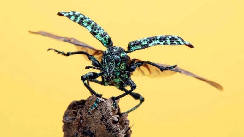 Подземные герои