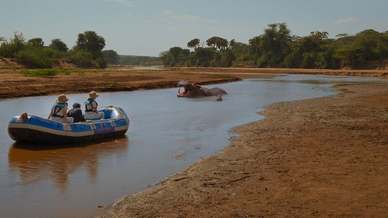 Гиппопотамус амфибиус