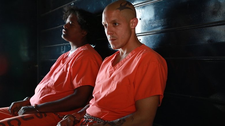 Что за зверь — человек