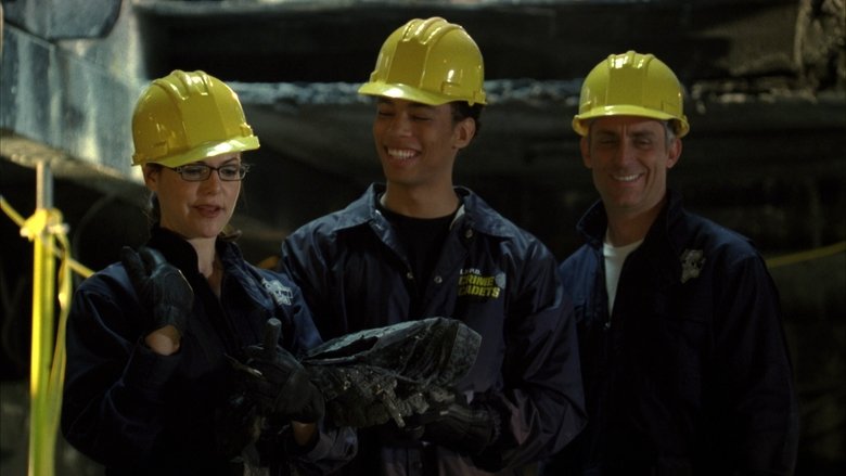 Полевые мыши