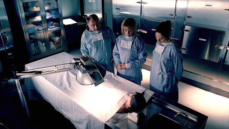 Справедливость восстановлена