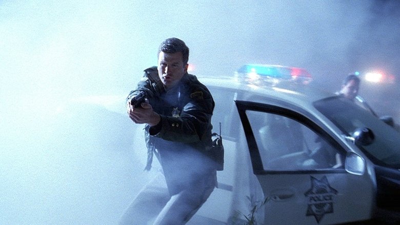 День тестирования