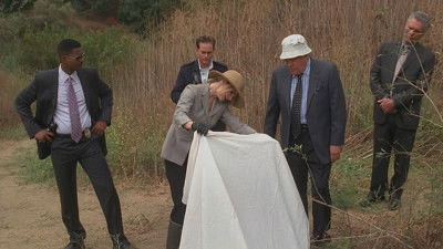 Елисейские поля