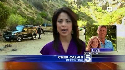 Гвоздь программы