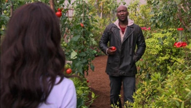 Папина дочка