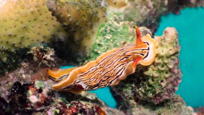 Построение тел