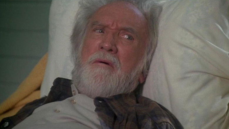 Серая команда