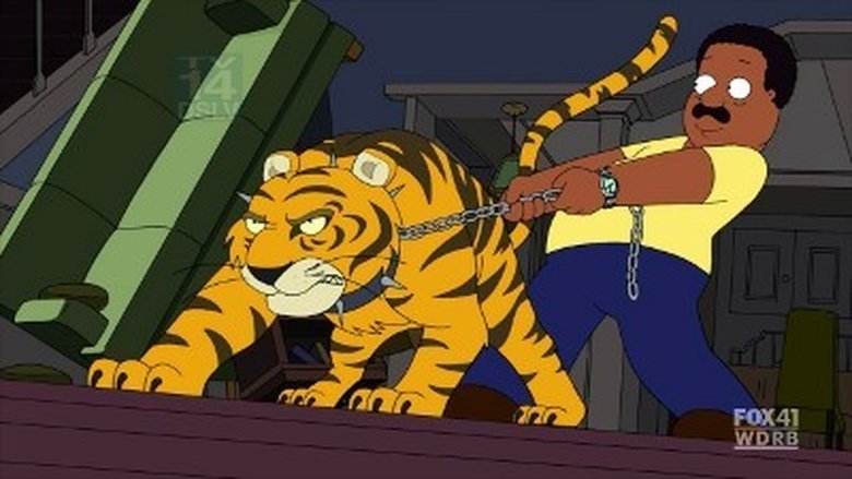 Короткая история и длинный хвост